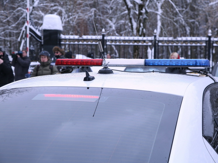 Полиция задержала водителя, сбившего двух детей в Сергиевом Посаде