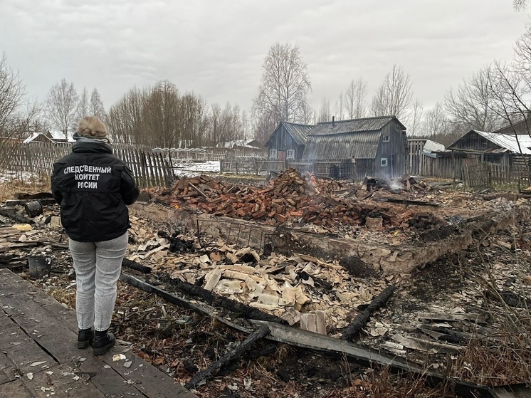 Пожар в щитовом доме Устьянского округа унес жизни трех человек