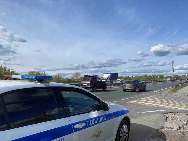 За сутки в Рязанской области выявили более 30 непристёгнутых водителей