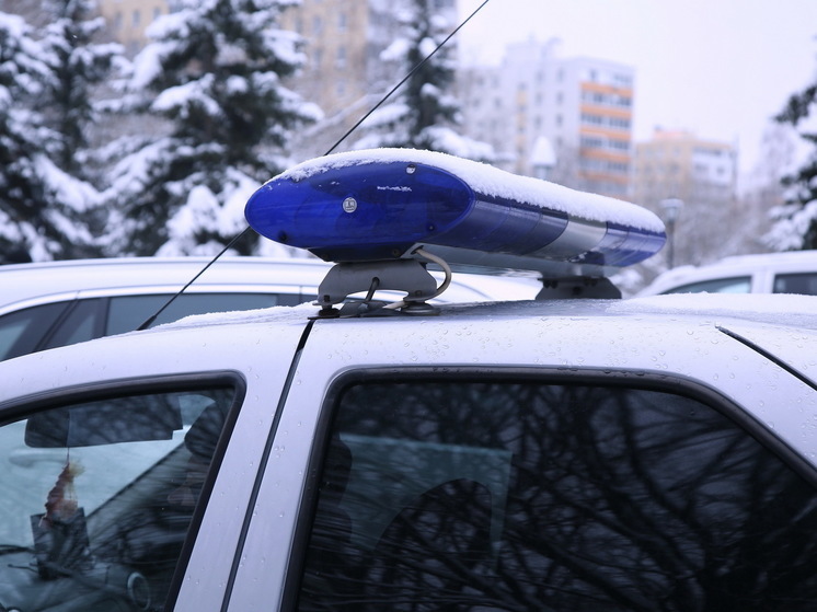 13-летнюю школьницу почти полгода совращал мясник-мигрант в Подмосковье