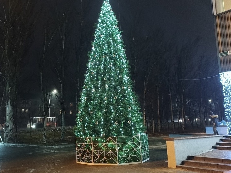 Девять активистов из ДНР отправятся на главную юнармейскую елку в Москве