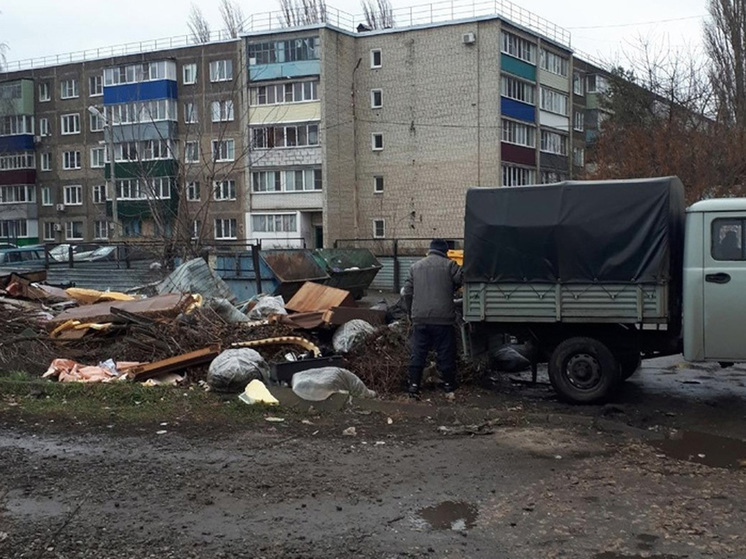 В Мичуринске усиливаются меры по борьбе с незаконным складированием мусора