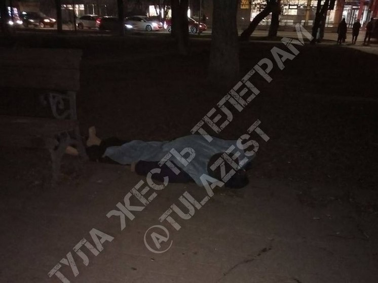 Труп обнаружили на улице Кауля в Туле