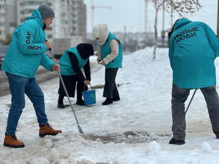 «Новые люди» в Брянске вышли на борьбу с гололедом