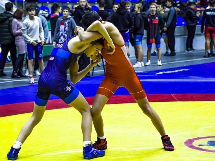Краснодарские спортсмены завоевали 8 призовых мест на первенстве по греко-римской борьбе