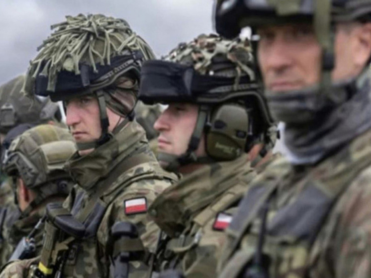 Сивера не увидел необходимости в отправке войск НАТО на Украину