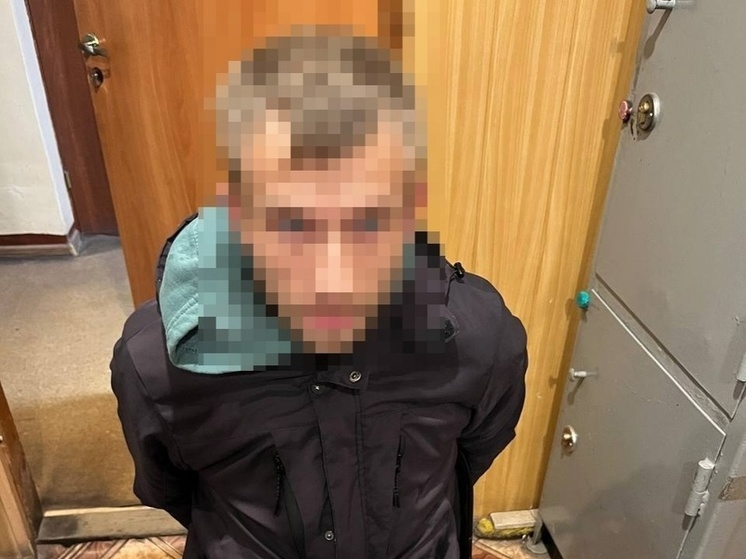  Закладчик в Нижнем был пойман с крупной партией наркотиков