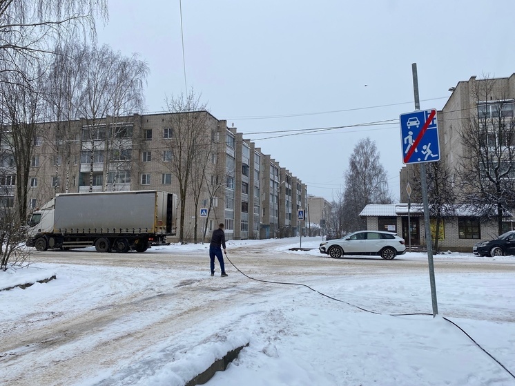 В Тверской области водитель устал смотреть на провод и сам убрал его с дороги