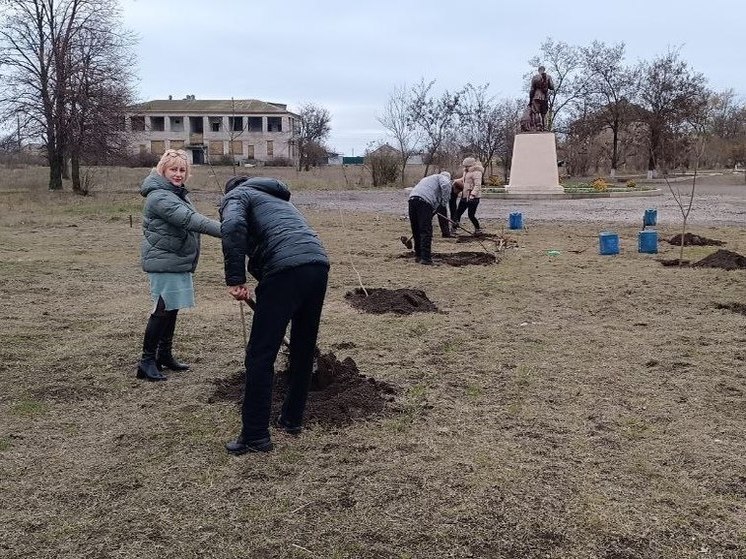 В селе Червоное Генического округа высадили 30 саженцев катальпы на Аллее Славы