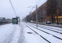 В Тверской области жители уже больше недели сидят без света после сильного снегопада