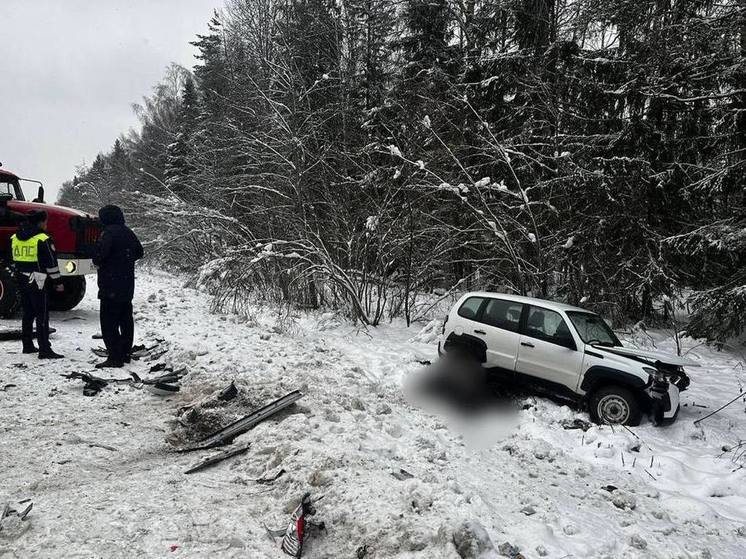 В Пестовском округе в ДТП пострадала пятилетняя девочка