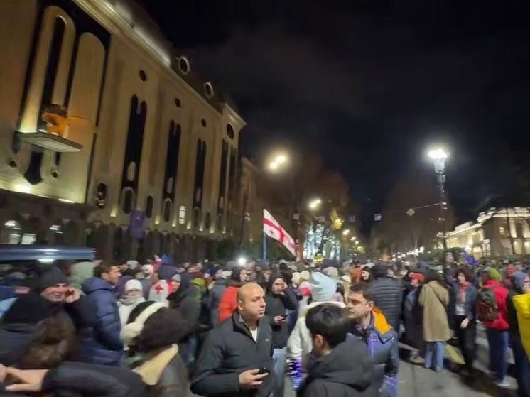 Акция протеста проходит у парламента Грузии после "заморозки" вступления в ЕС