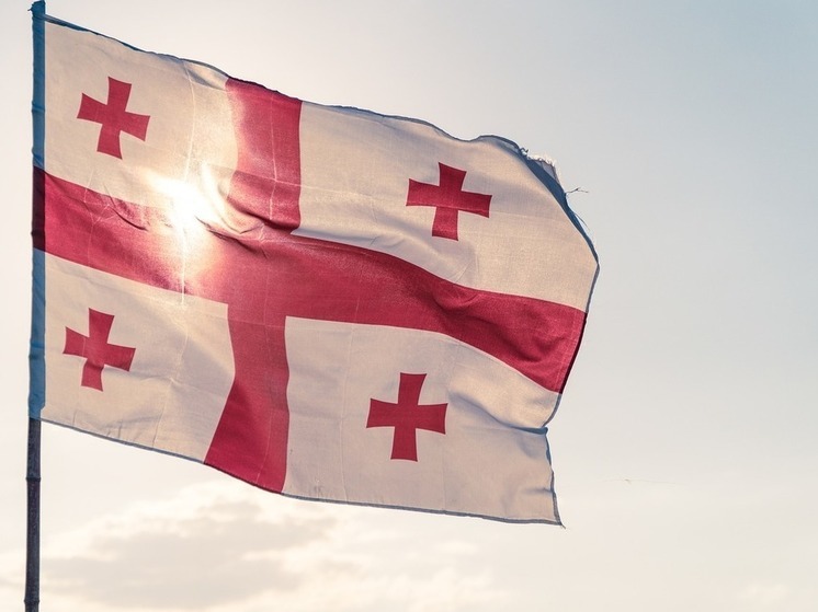 Парламент Грузии ввел высший уровень опасности из-за протестов оппозиции