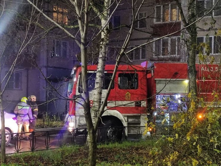 В Петербурге хулиган сжег брошенную старушку «Волгу»