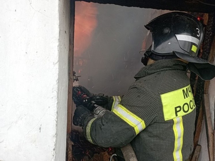 В Геническом округе на Херсонщине загорелась хозпостройка