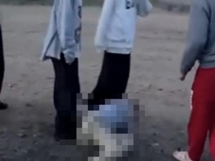В Бурятии будут судить двух юных разбойниц