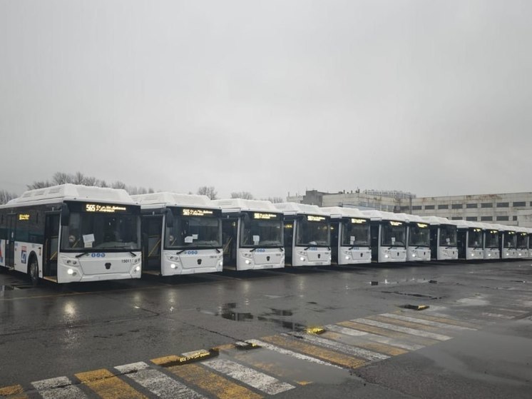 Современные автобусы вышли на маршрут Кировск – Петербург
