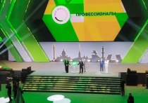 В Петербурге прошли финальные соревнования Всероссийского чемпионата по профессиональному мастерству «Профессионалы». В этом году участие в них приняли более 900 конкурсантов из 89 регионов страны. Были и международные делегации — в Северную столицу приехали конкурсанты и участники деловой программы из 25 государств.