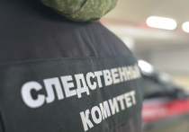 Целью преступления было ограбление