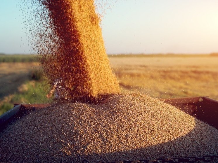 В ДНР появится новое зернохранилище