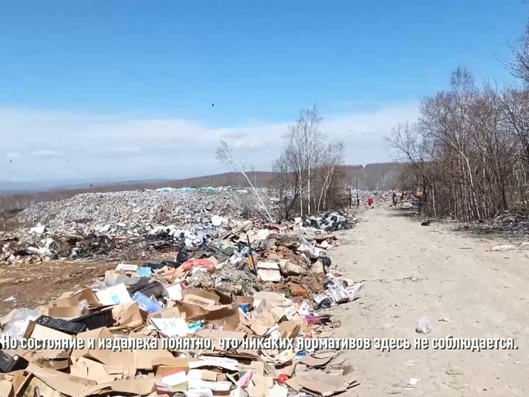 За горящую свалку в Хабаровском крае назначили штраф