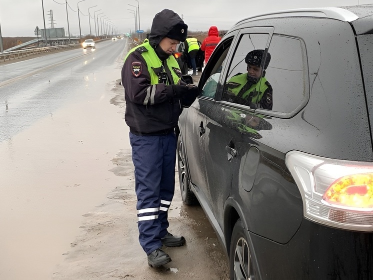 В Приморском округе ловили нарушителей-перевозчиков