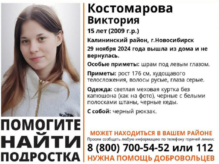 Новосибирцы разыскивают девушку, пропавшую после ссоры с парнем
