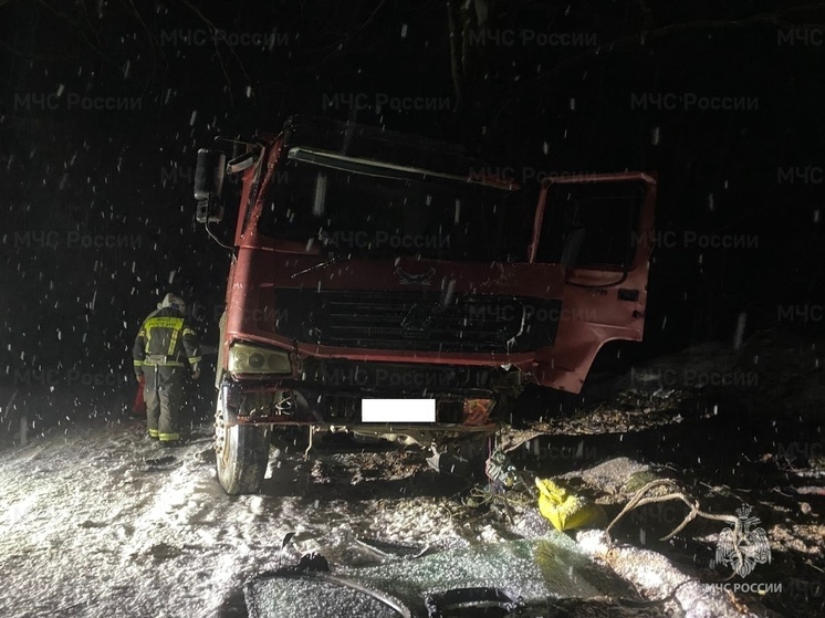 В Калужской области грузовик врезался в дерево