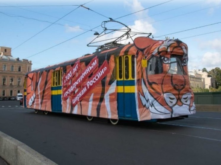 В Петербурге трамваи назвали в честь животных. «Имена» средства передвижения получили не случайно. Обосновано это внешним видом и устройством. О сравнении транспорта с представителями животного мира поделились в комитете по транспорту Северной столицы.