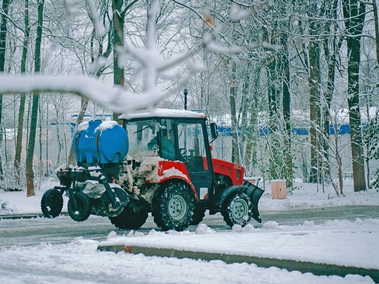 Зима начнется в Тульской области с -5°С, мокрого снега и гололедицы