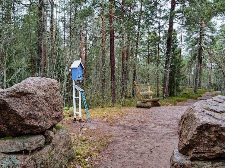 Сотрудники парка Монрепо рассказали, где загадать желание, чтобы оно исполнилось