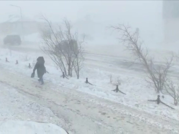 Метель ожидается в воскресенье на побережье Восточно-Сибирского моря