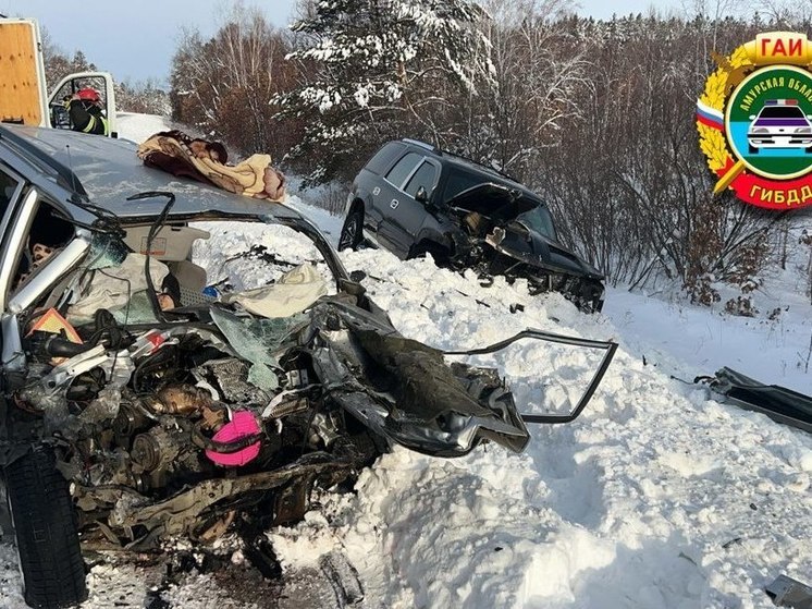 Один человек погиб, четверо пострадали в ДТП в Амурской области