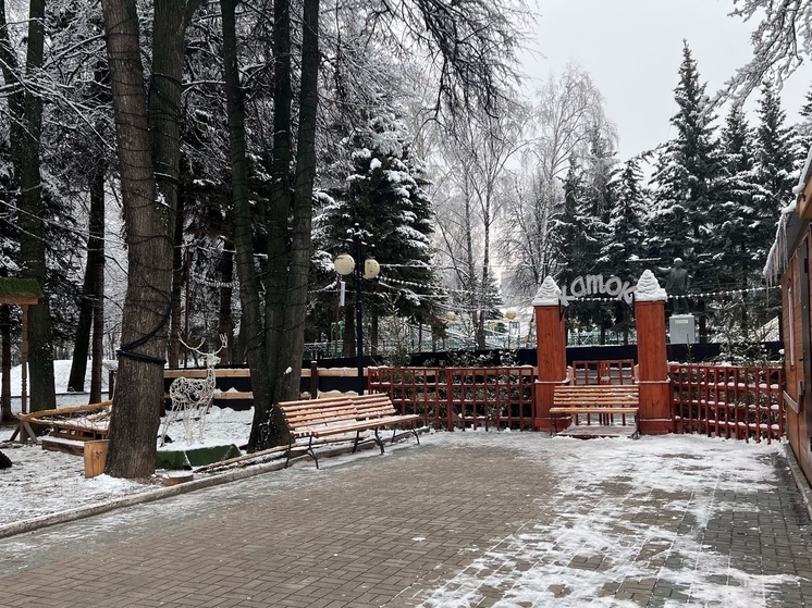 В йошкар-олинском ЦПКиО завершена установка катка