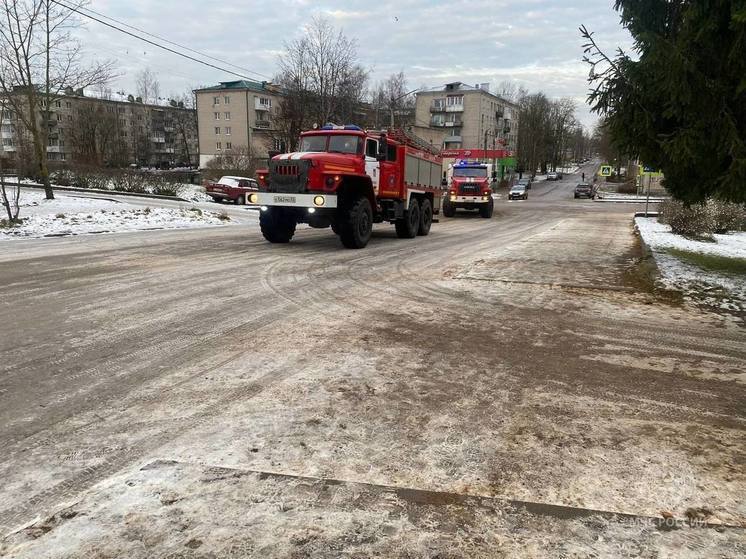Спасатели потушили баню в деревне Стрелка Новгородского района
