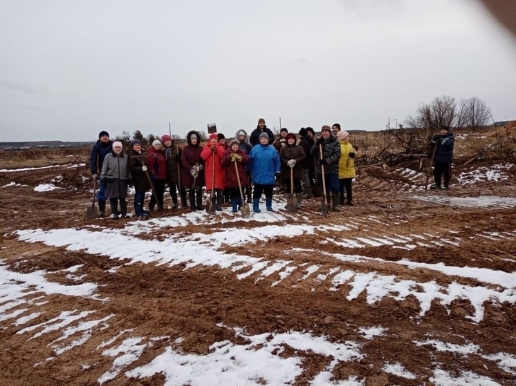 В пинежской глубинке объявили войну борщевику