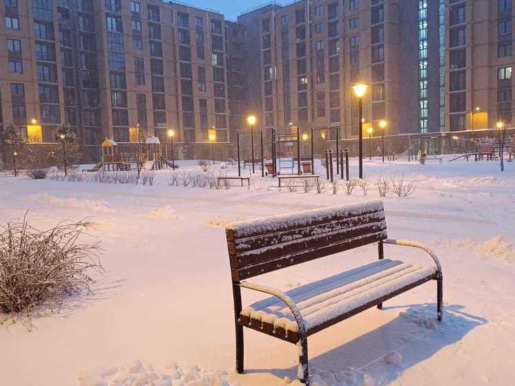 В Новосибирске стал известен прогноз погоды на 31 декабря