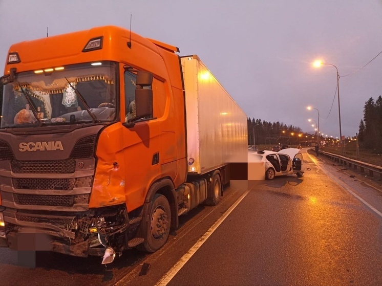 Легковушка смялась после столкновения с грузовиком в Прионежском районе