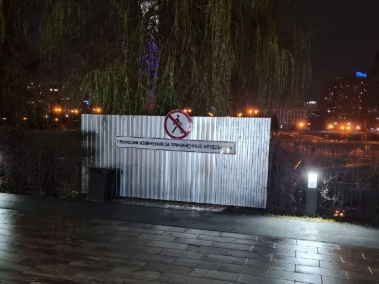 В Орле закрыли пешеходный мост из Детского парка