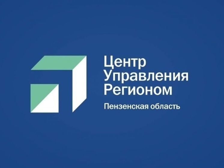 ЦУР Пензенской области подвел итоги прошедшей осени