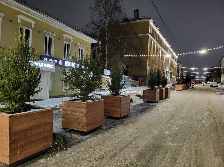 Несколько десятков зелёных красавиц появились на улице Спасской в Кирове