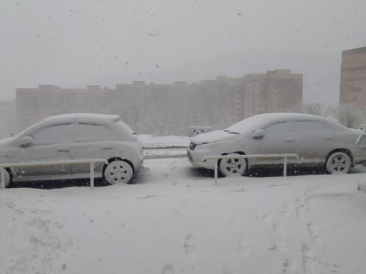 Снег, дождь и гололедица накроют Приморье в понедельник, 2 декабря