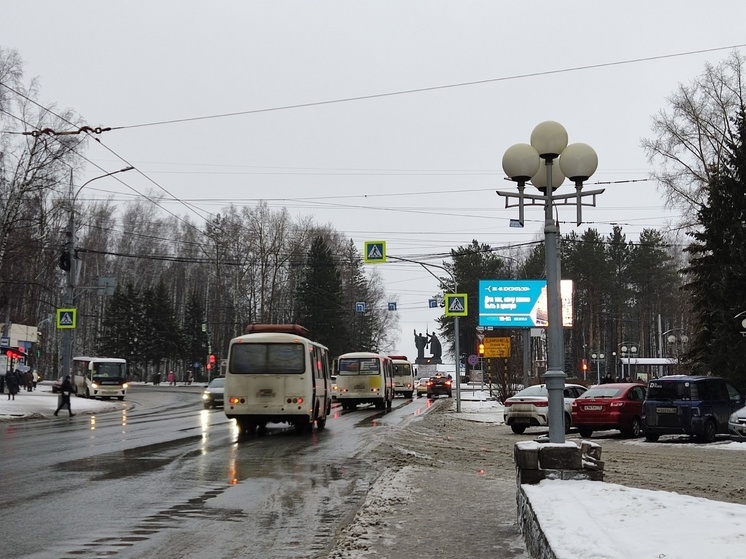 В Томске подросток получил серьёзные травмы на стихийной горке в Лагерном саду