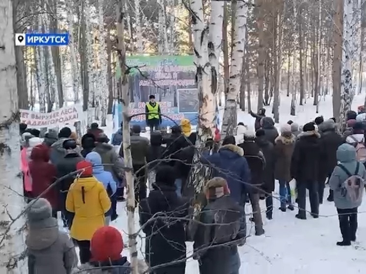 Митинг против застройки рощи прошёл в иркутском Академгородке