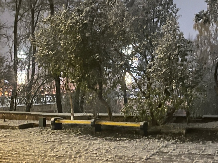 На Орловщине декабрь будет в пределах средних многолетних значений