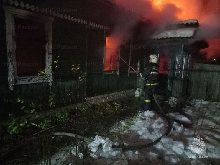 При пожаре в брянской Дубровке погибли мать и сын