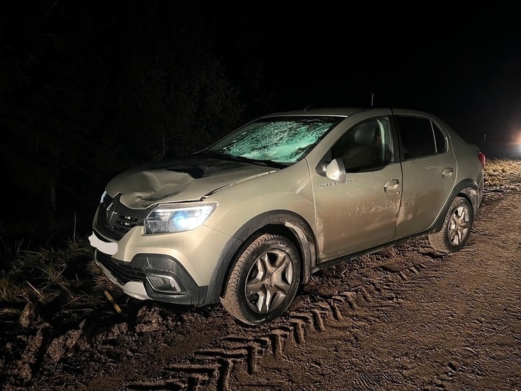 В Боровичском районе 1 декабря два пешехода почти одновременно попали под машины