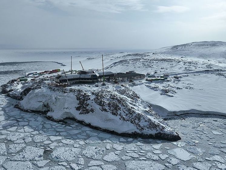 Устроившая голодовку российская туристка добилась компенсации за сорванный тур в Антарктиду