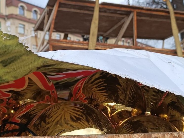 В Калининграде начали устанавливать новогоднюю елку