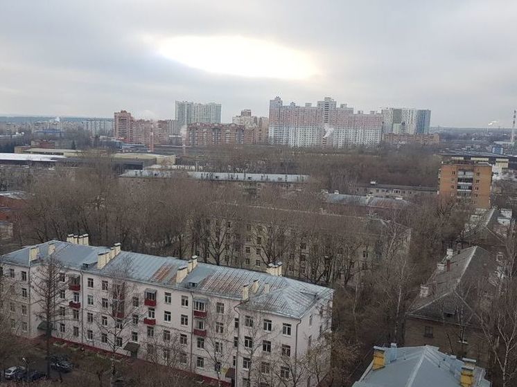 В первые дни зимы в Подмосковье распустились цветы